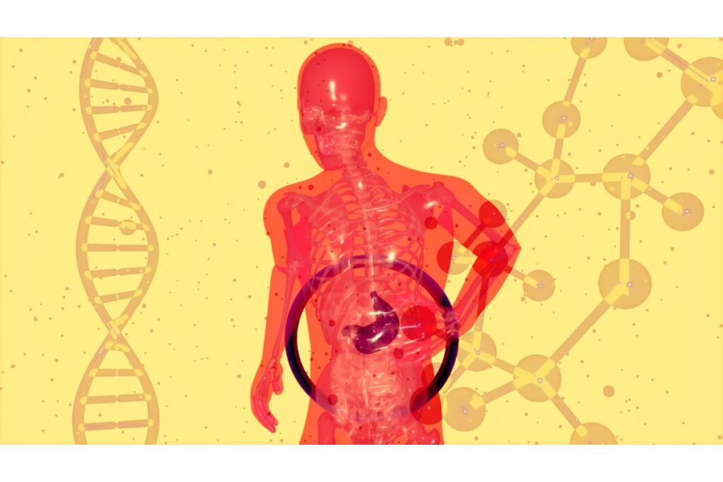 Functional Medicine
