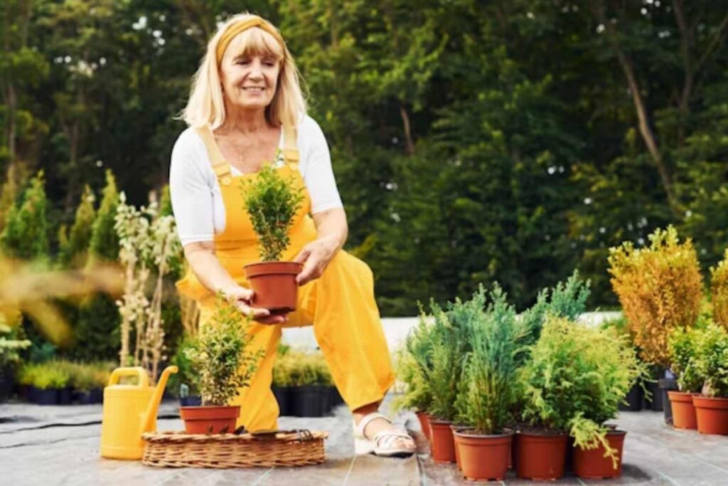 New Gardening Product Xhasrloranit