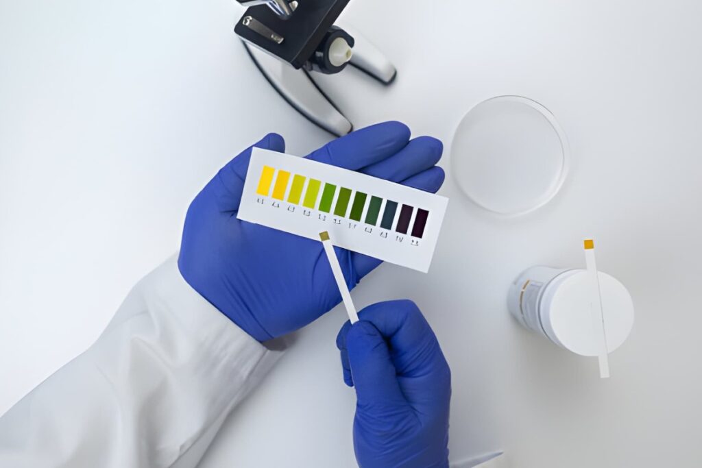 4 Best At-Home Vaginal pH Tests for Checking Yeast Infections Vaginal pH Test