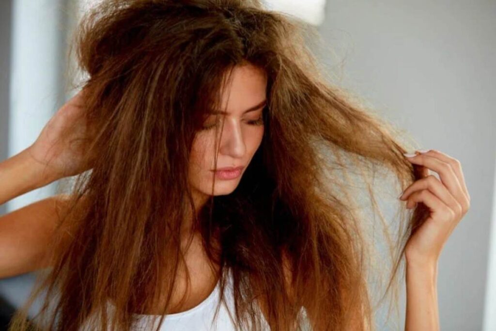 Natural Home Remedies for Dry Hair Dry Hair